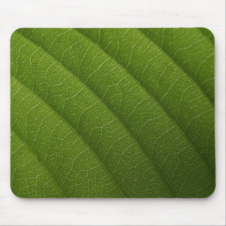 Tapis De Souris Feuille verte