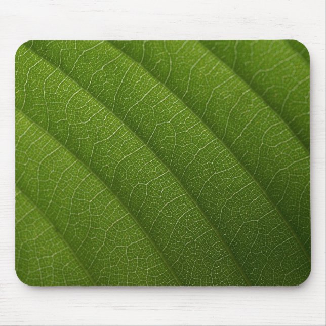 Tapis De Souris Feuille verte (Devant)