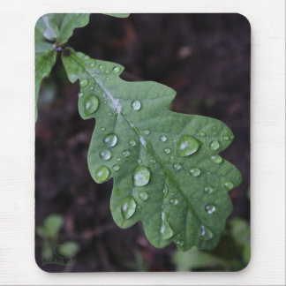 Tapis De Souris Feuille verte de chêne sous la pluie