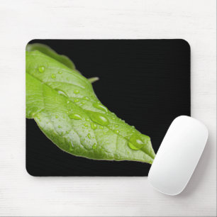 Tapis De Souris Feuille verte et gouttes de pluie Mousepad