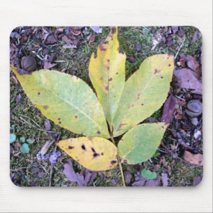 Tapis De Souris Feuilles automnales Mousepad