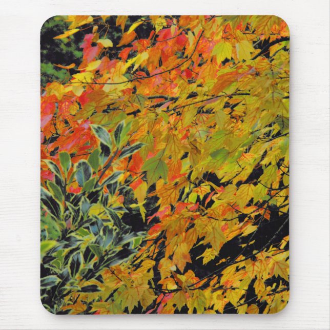 Tapis De Souris Feuilles d'automne (Devant)