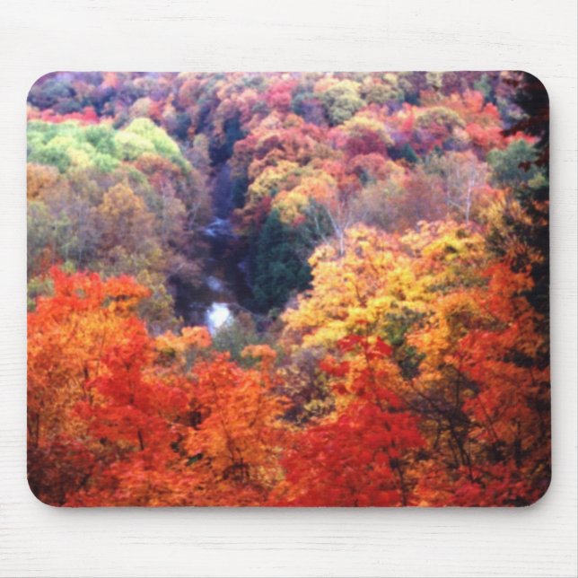 Tapis De Souris Feuilles d'automne changeant de couleur (Devant)
