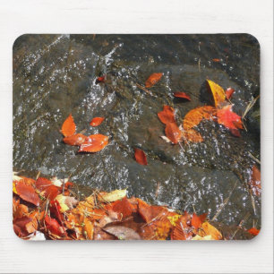 Tapis De Souris Feuilles d'automne dans la cascade I Photographie