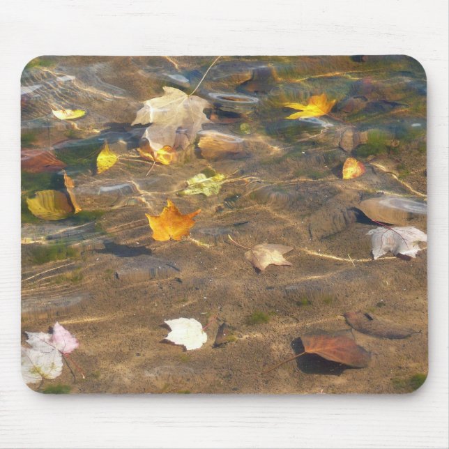 Tapis De Souris Feuilles d'automne dans l'étang de l'eau Photograp (Devant)