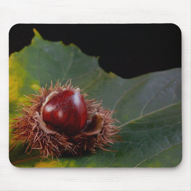 Tapis De Souris Feuilles d'automne et souris de noix (Devant)