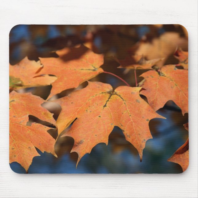 Tapis De Souris Feuilles d'automne Mousepad (Devant)