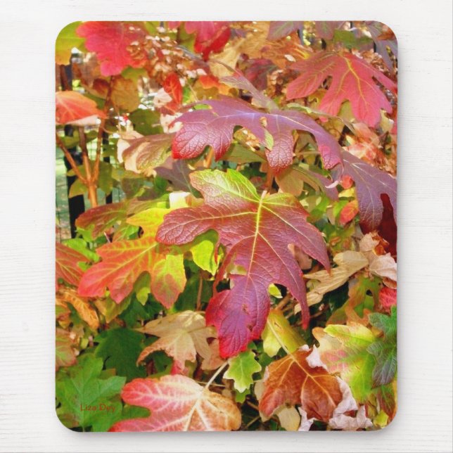 Tapis De Souris 'Feuilles d'automne' Mousepad (Devant)