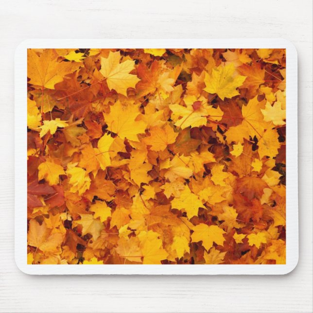 Tapis De Souris Feuilles de érable jaune d'automne (Devant)