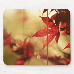 Tapis De Souris Feuilles de Érable Rouge Japonais Automne Lumière 