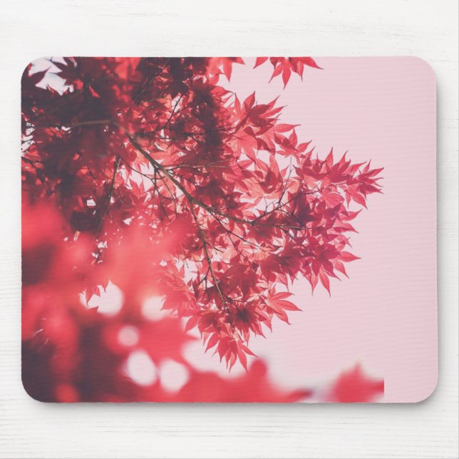 Tapis De Souris Feuilles de Érable Rouge sur Rose (Devant)