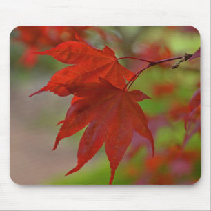 Tapis De Souris Feuilles de l'arbre rouge