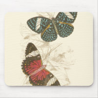 Feuilles de Sepia avec papillons colorés