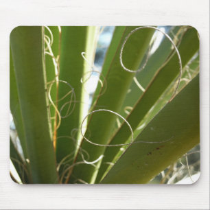 Tapis De Souris Feuilles de Yucca Vert Photographie de la Nature