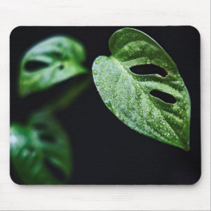Tapis De Souris Feuilles, Plante, Nature