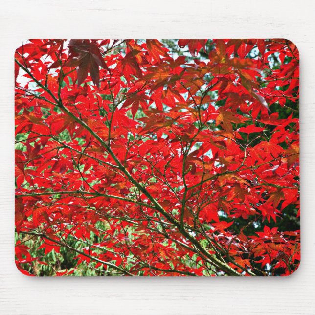 Tapis De Souris Feuilles rouges (Devant)