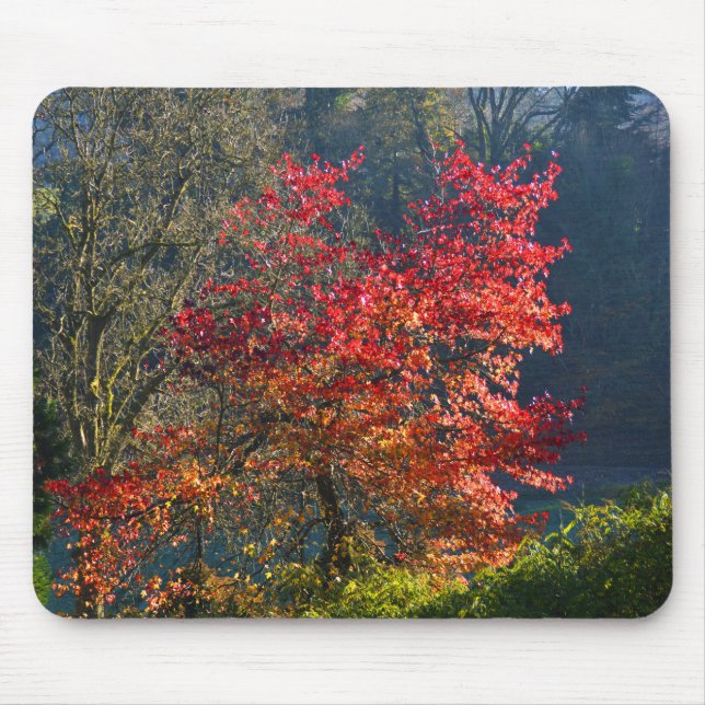 Tapis De Souris Feuilles rouges (Devant)