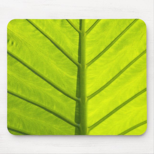 Tapis De Souris Feuilles vertes veinées de feuillage tropical dans (Devant)