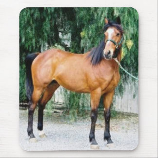 Tapis De Souris Fibonacci