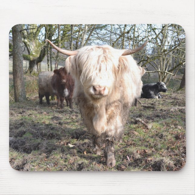Tapis De Souris Fier d'être écossais (Devant)