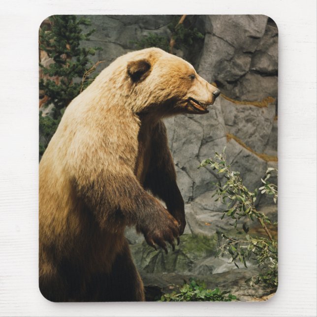 Tapis De Souris Fière Ours (Devant)