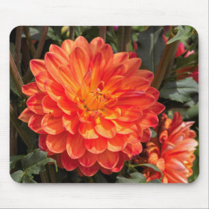 Tapis De Souris Fiery Dahlia
