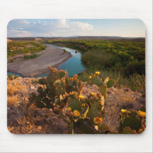 Tapis De Souris Figue de Barbarie (Opuntia Sp.)