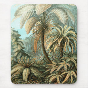Tapis De Souris Filicinae par Ernst Haeckel, Plantes Vintages de l