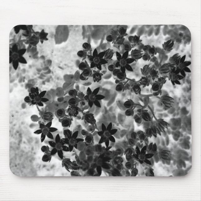 Tapis De Souris Filligree (Devant)