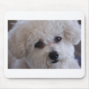 Tapis De Souris Fin de Bichon