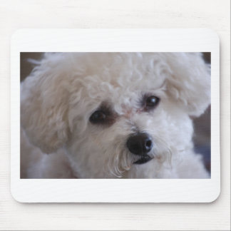 Tapis De Souris Fin de Bichon