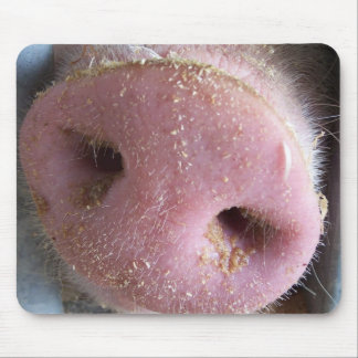 Tapis De Souris Fin rose de nez de porc vers le haut de