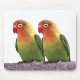 Tapis De Souris "Fischer's Lovebird"の 優 製