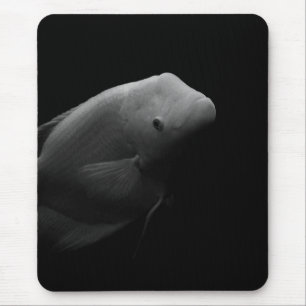 Tapis De Souris Fish in Tank