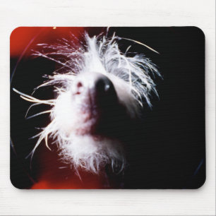 Tapis De Souris Fisheye crêté chinois