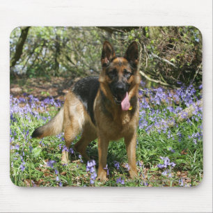 Tapis De Souris Fixation de berger allemand