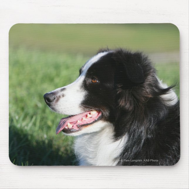 Tapis De Souris Fixation de chiot de border collie (Devant)