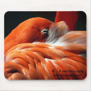 Tapis De Souris Flamant rose