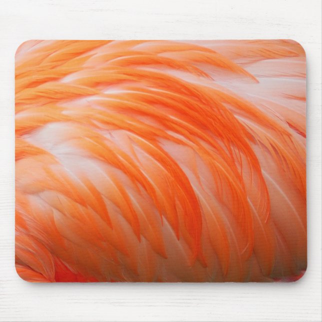 Tapis De Souris Flamant rose 2 Mousepad (Devant)