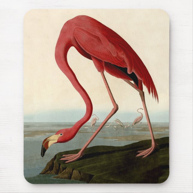 Tapis De Souris Flamant rose américain Audubon (Devant)