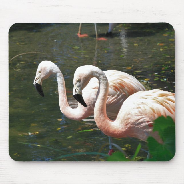 Tapis De Souris Flamant rose dans un étang avec un arbre vert (Devant)