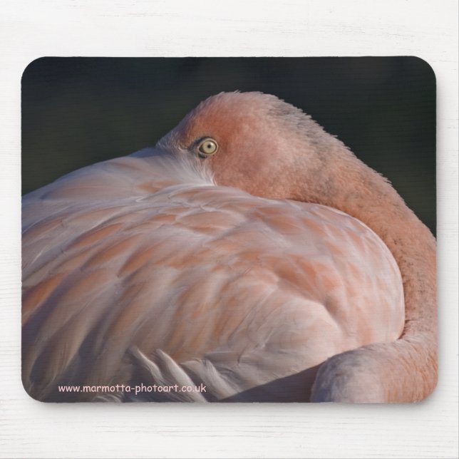 Tapis de souris flamant rose dormant (Devant)