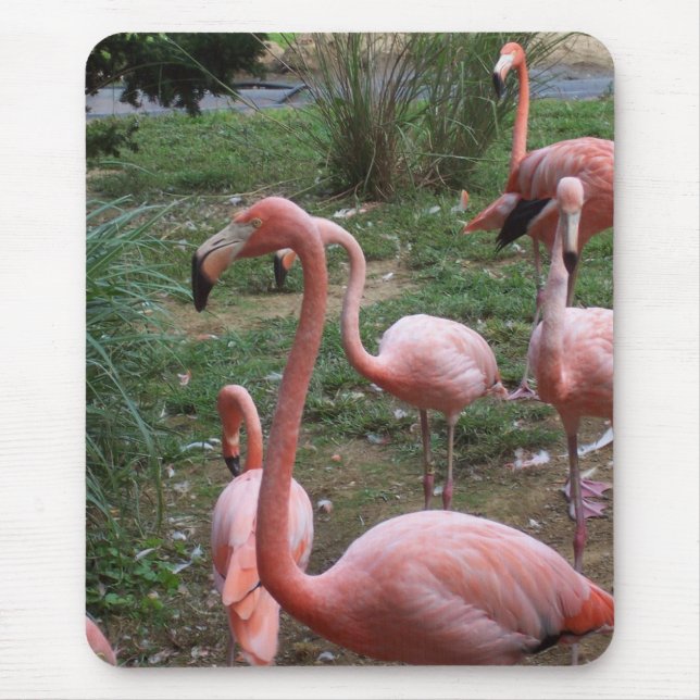 Tapis De Souris Flamant rose Mousepad (Devant)