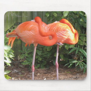 Tapis De Souris Flamants roses