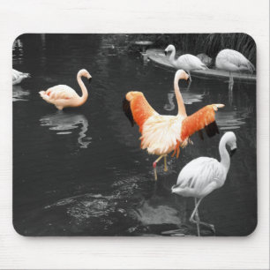 Tapis De Souris Flamants roses
