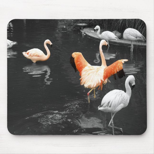 Tapis De Souris Flamants roses (Devant)