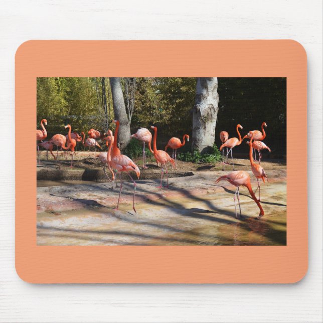 Tapis De Souris Flamants roses (Devant)