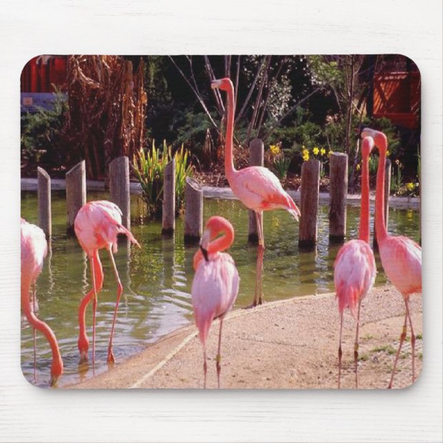 Tapis De Souris Flamants roses de la Floride (Devant)