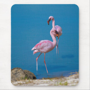 Tapis De Souris Flamants roses roses au lac