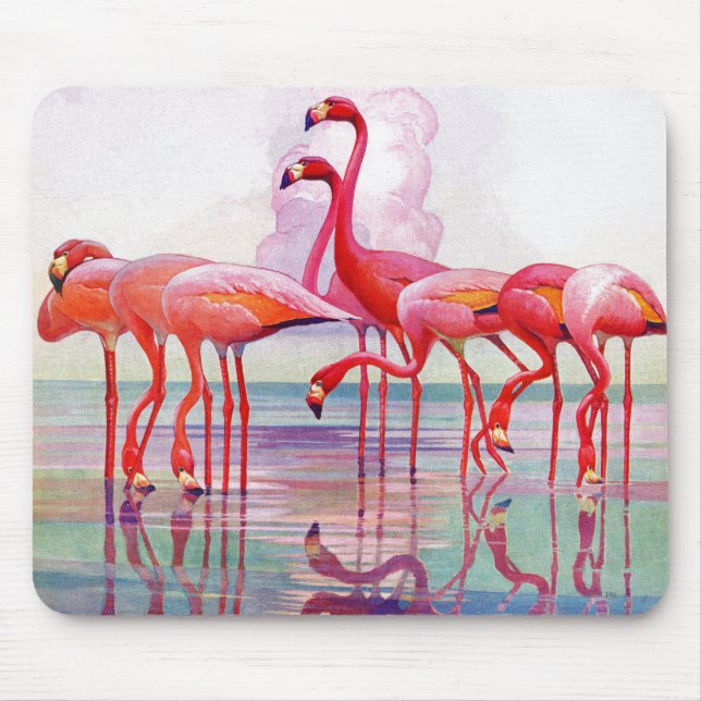 Tapis De Souris Flamants roses roses par Francis Lee Jaques (Devant)